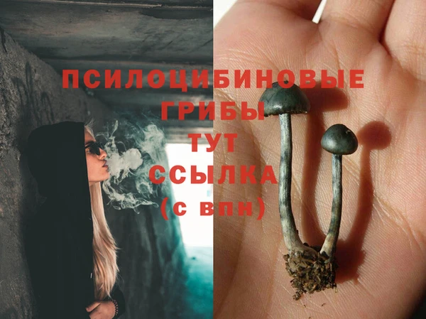 хмурый Балахна